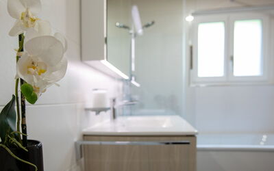 Villars 997: Property, Plant, Building, Window, Tap, Bathroom Cabinet, Sink, Flower, Plumbing Fixture, Cabinetry