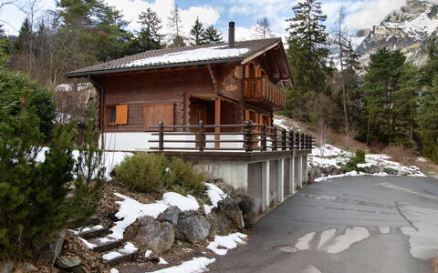 Escapade: Tree, Wood, House, Home, Cottage, Larch, Slope, Log Cabin, Freezing, Snow