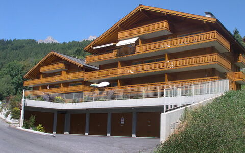 Ovronnaz 700: Sky, Plant, Building, Wood, Tree, Slope, Real Estate, Facade, Leisure, Landscape