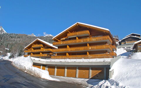 Ovronnaz 700: Sky, Building, Snow, Property, Window, Slope, House, Wood, Freezing, Landscape