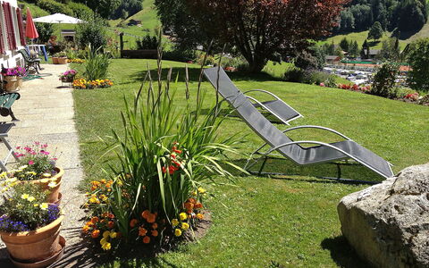 Grindelwald 255: Plant, Flower, Plant Community, Tree, Botany, Leaf, Flowerpot, Grass, Outdoor Furniture, Biome