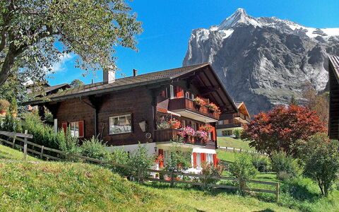 Grindelwald 255: Plant, Sky, Building, Mountain, Natural Landscape, Tree, Highland, Land Lot, House, Window