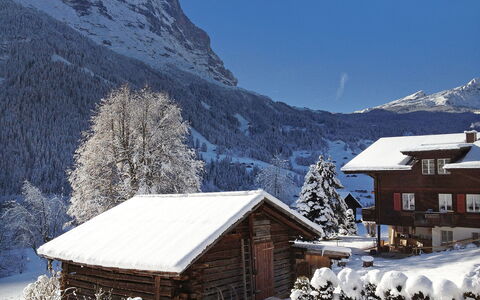 Grindelwald 255: Sky, Snow, Mountain, Property, Building, Nature, Slope, Tree, House, Window