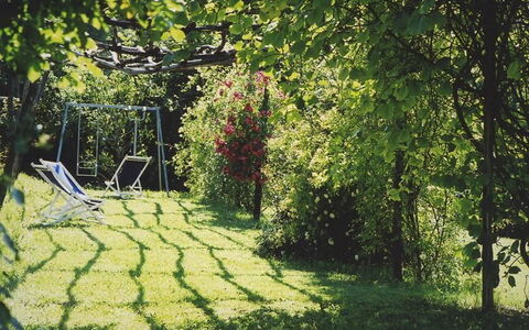La Cenerara: Green, Nature, Tree, Grass, Garden, Lawn, Sunlight, Leaf, Botany, Spring