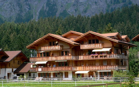 Studio Schweizerhof: Plant, Building, Property, Mountain, Tree, Natural Landscape, Wood, Land Lot, House, Leisure