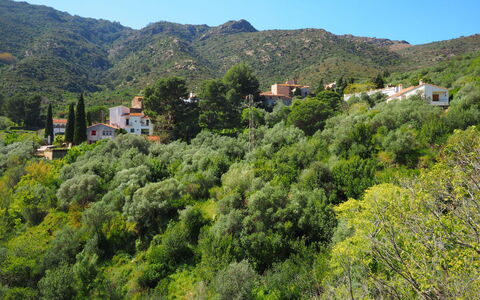 La Rectoria Ii: Sky, Mountain, Plant, Plant Community, Natural Landscape, Tree, Land Lot, Highland, Landscape, Groundcover