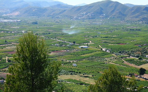 Grand Lusianna: Mountainous Landforms, Highland, Mountain, Hill Station, Vegetation, Wilderness, Hill, Mountain Range, Nature Reserve, Tree