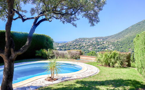 Le Cap: Plant, Sky, Water, Property, Plant Community, Natural Landscape, Tree, Azure, Vegetation, Shade