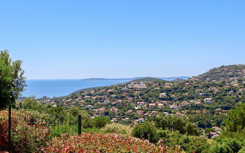 Le Cap: Flower, Sky, Plant, Natural Landscape, Tree, Vegetation, Mountain, Water, Landscape, Horizon