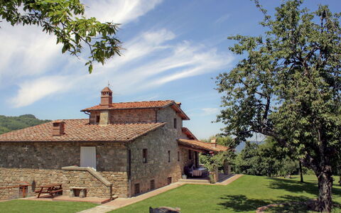 Greve in Chianti 840: Property, House, Tree, Building, Cottage, Sky, Rural Area, Farmhouse, Architecture, Home