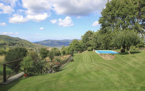 Greve in Chianti 840: Cloud, Sky, Plant, Mountain, Natural Landscape, Tree, Land Lot, Grass, Landscape, Grassland