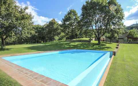 Greve in Chianti 840: Water, Plant, Cloud, Sky, Swimming Pool, Green, Tree, Shade, Rectangle, Land Lot