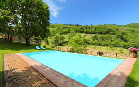 Greve in Chianti 840: Water, Plant, Sky, Property, Swimming Pool, Green, Cloud, Nature, Azure, Tree