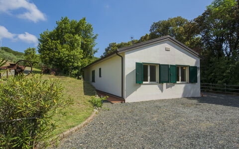 Podere Gli Olivi: Property, House, Real Estate, Home, Land Lot, Building, Cottage, Tree, Rural Area, Estate