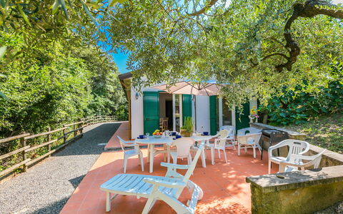 Podere Gli Olivi: Plant, Furniture, Table, Plant Community, Leaf, Nature, Chair, Shade, Outdoor Furniture, Tree