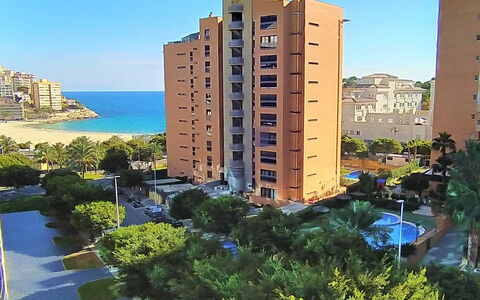 Sidney: Sky, Building, Water, Plant, Property, Azure, Window, Vegetation, Urban Design, Tree
