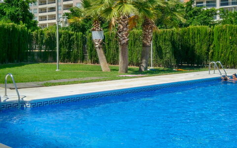 Sidney: Water, Plant, Building, Property, Window, Swimming Pool, Green, Azure, Tree, Leisure