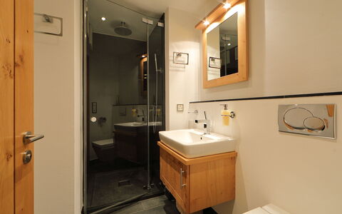 Zermatt 470: Bathroom, Room, Property, Bathroom Cabinet, Plumbing Fixture, Sink, Interior Design, Bathroom Accessory, Furniture, Lighting