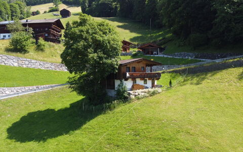 Hamberg Hütte: Plant, Property, Building, Natural Landscape, Tree, House, Land Lot, Vegetation, Slope, Biome