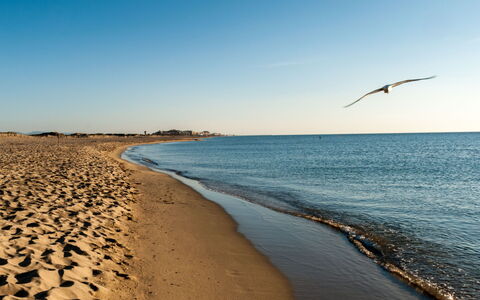 Canet-Plage 310: Sky, Blue, Water, Natural Environment, Beach, Horizon, Coast, Ecoregion, Shore