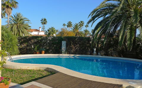 El Paradiso: Swimming Pool, Property, Real Estate, Home, House, Vacation, Backyard, Palm Tree, Tree, Resort