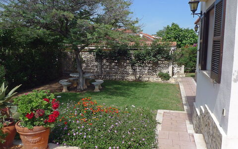 El Paradiso: Property, Yard, Garden, House, Real Estate, Backyard, Home, Residential Area, Building, Landscape