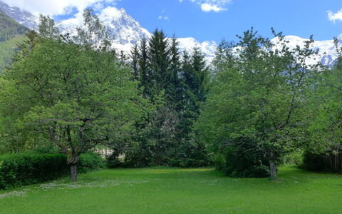 Maison Novel: Cloud, Sky, Plant, Ecoregion, Green, Mountain, Natural Landscape, Larch, Tree, Grass