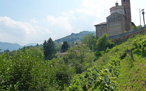 Al Ronchetto: Vegetation, Castle, Hill Station, Hill, Tree, Highland, Mountain, Tourism, Building