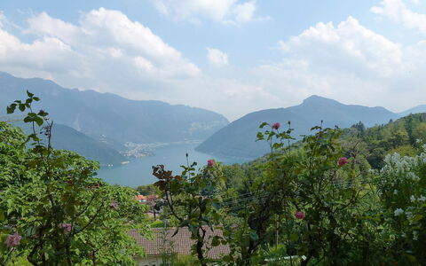Al Ronchetto: Hill Station, Vegetation, Nature, Mountainous Landforms, Highland, Hill, Mountain, Sky, Natural Landscape, Wilderness