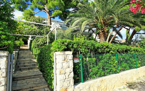 Amiela: Vegetation, Property, Tree, Wall, Walkway, Botany, Real Estate, Garden, Plant, House