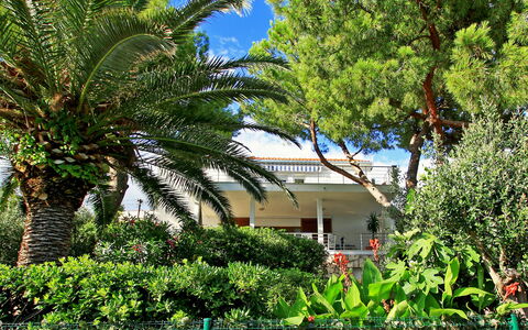Amiela: Plant, Sky, Building, Plant Community, Window, Tree, House, Vegetation, Terrestrial Plant, Arecales