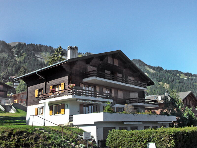 Roche-neige