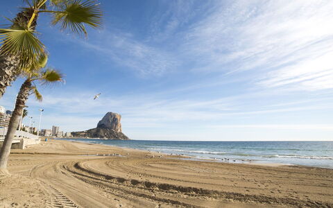 Arenal 03: Beach, Sky, Sea, Shore, Tree, Coast, Palm Tree, Ocean, Sand, Coastal And Oceanic Landforms