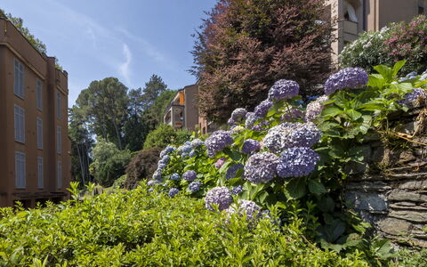 Residenza del Pascià: Green, Leaf, Vegetation, Shrub, Plant Community, Garden, Groundcover, Spring, Landscaping, Condominium