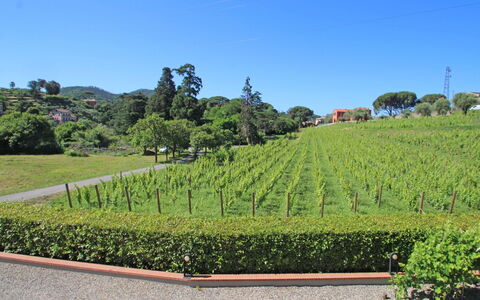 Sestri Levante 200: Sky, Plantation, Shrub, Wilderness, Highland, Hill Station, Garden, Botany, Grass, Land Lot
