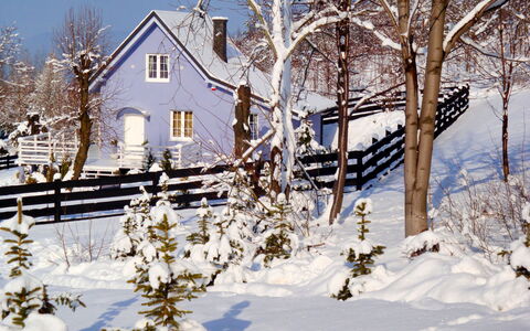 Niebieski: Building, Snow, Plant, Window, Sky, Twig, House, Branch, Natural Landscape, Architecture