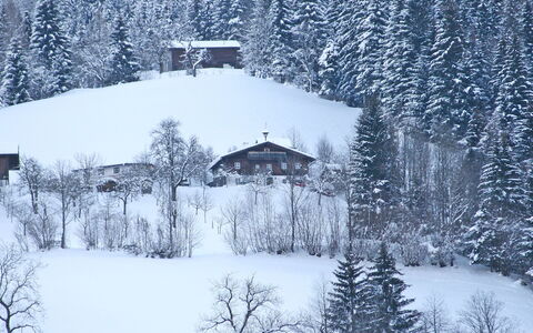 Oberhaslach: Snow, Winter, Tree, Freezing, Atmospheric Phenomenon, Frost, Hill Station, Home, Geological Phenomenon