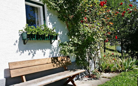 Oberhaslach: Bench, Flower, Plant, Furniture, Botany, Tree, House, Table, Outdoor Bench, Garden