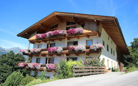 Kaltenbach 610: Plant, Sky, Building, Window, Flower, Tree, House, Wood, Facade, Landscape