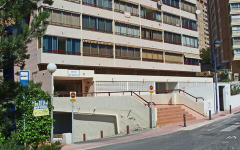 Don Miguel Iii: Building, Plant, Window, Tree, Urban Design, Condominium, Tower Block, Facade, Real Estate, Commercial Building