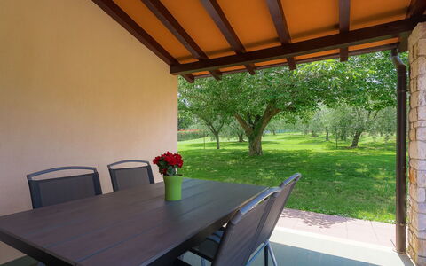 Licia: Table, Plant, Furniture, Property, Flower, Flowerpot, Building, Chair, Wood, Houseplant