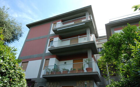 Riviera Massa: Plant, Building, Sky, Window, Tree, Vegetation, House, Wood, Urban Design, Residential Area