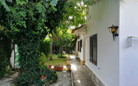 Vilafortuny: Property, Building, House, Real Estate, Neighbourhood, Tree, Courtyard, Street, Architecture, Hacienda