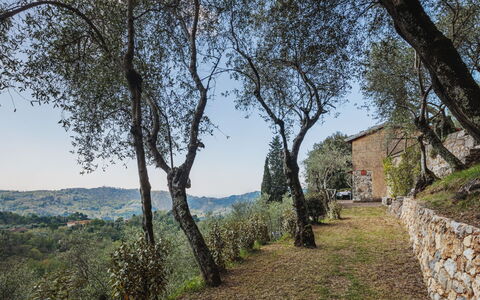 La Capannella: Sky, Table, Furniture, Daytime, Property, Plant, Mountain, Azure, Chair, Nature