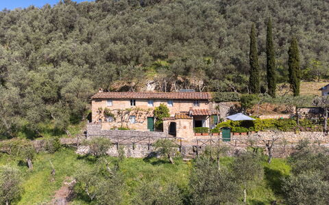 Il Metatino: Plant, Sky, Mountain, Natural Landscape, Tree, Building, Land Lot, Vegetation, Cloud, Window
