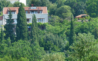 Dubrovnik Orašac 100