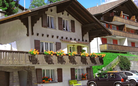 Grindelwald 104: Car, Sky, Wheel, Property, Building, Plant, Vehicle, Window, House