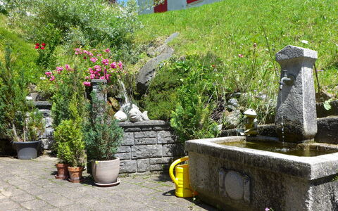 Grindelwald 104: Plant, Property, Flowerpot, Flower, Building, Botany, Road Surface, Houseplant, Architecture, Vegetation