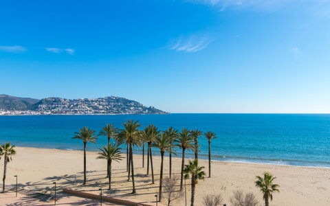 Nuvol Blau: Body Of Water, Sky, Sea, Beach, Blue, Shore, Coast, Tree, Ocean, Azure