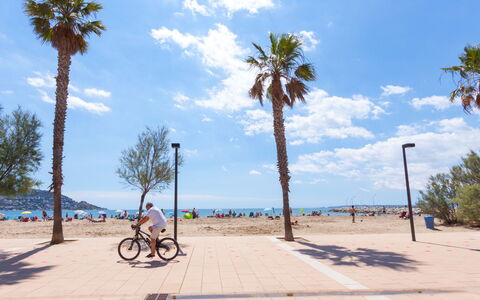 Cap Mestral: Cloud, Sky, Daytime, Plant, Tree, Wheel, Arecales, Beach, Coastal And Oceanic Landforms